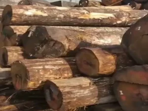 About Us 4 Log