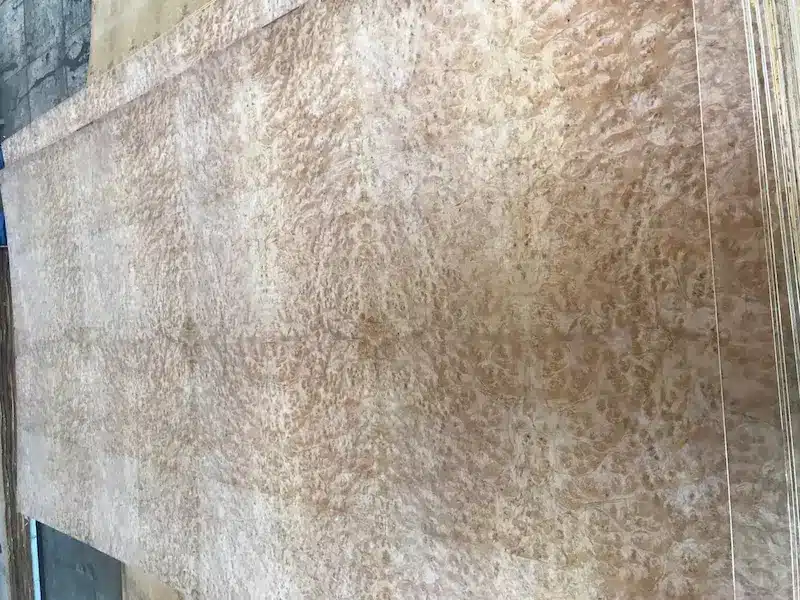 Quality control inspection of paper backed veneer sheets